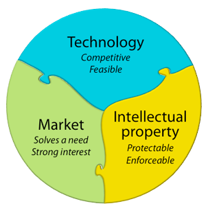 Evaluation and IP Protection